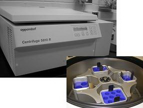 Eppendorf 5810R Centrifuge