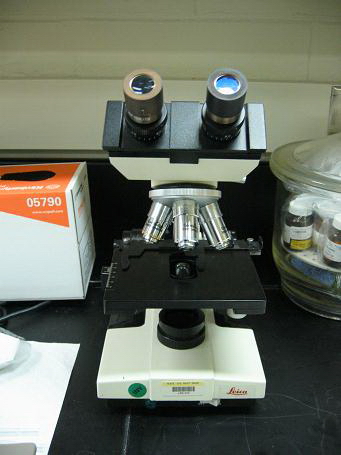 Leica/Cambridge Instruments Galen III Microscope